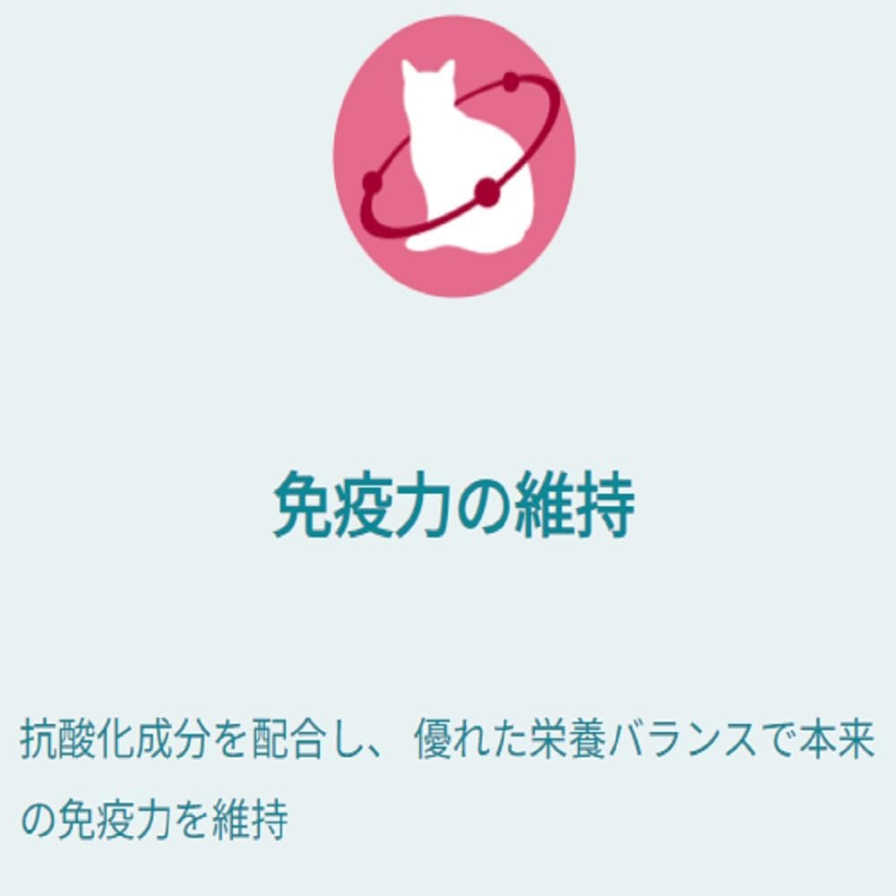 ピュリナ ワン キャット パウチ 1歳までの子ねこ用/妊娠・授乳期の母猫用チキングレービー仕立て 50gx12袋