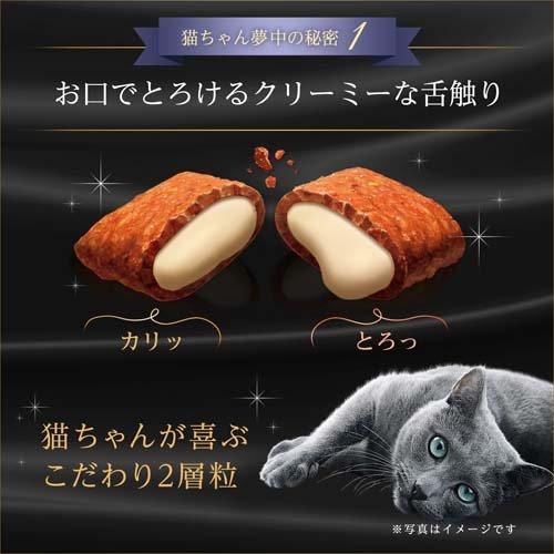 【パッケージ訳あり】シーバ デュオ 旅するシーバ 贅沢チーズ味仕立て お魚とチーズの味めぐり ( 200g )