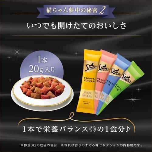 【パッケージ訳あり】シーバ デュオ 旅するシーバ 贅沢チーズ味仕立て お魚とチーズの味めぐり ( 200g )