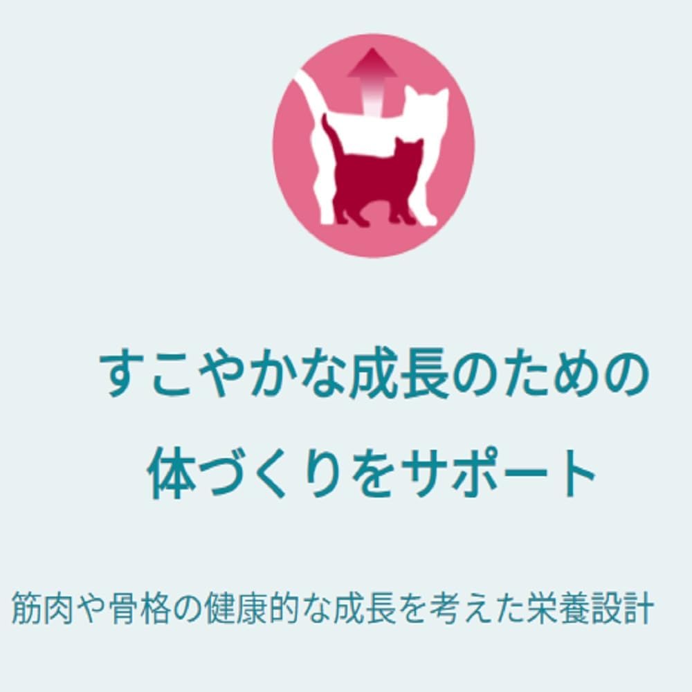 ピュリナ ワン キャット パウチ 1歳までの子ねこ用/妊娠・授乳期の母猫用チキングレービー仕立て 50gx12袋