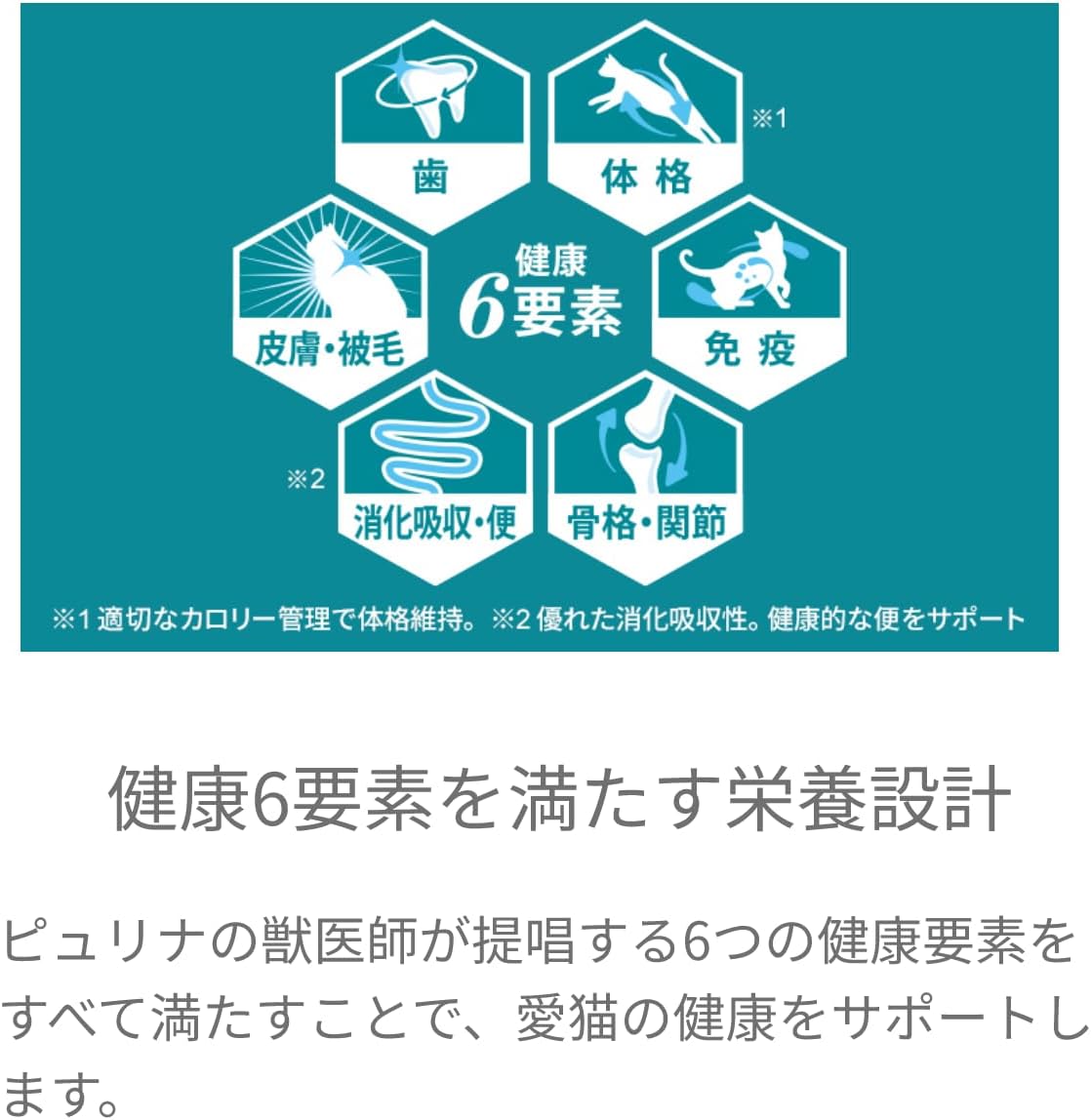 ピュリナワンキャット ドライ 1歳までの子ねこ用/妊娠・授乳期の母猫用 サーモン&ツナ 4.4kg(440g×10袋入)