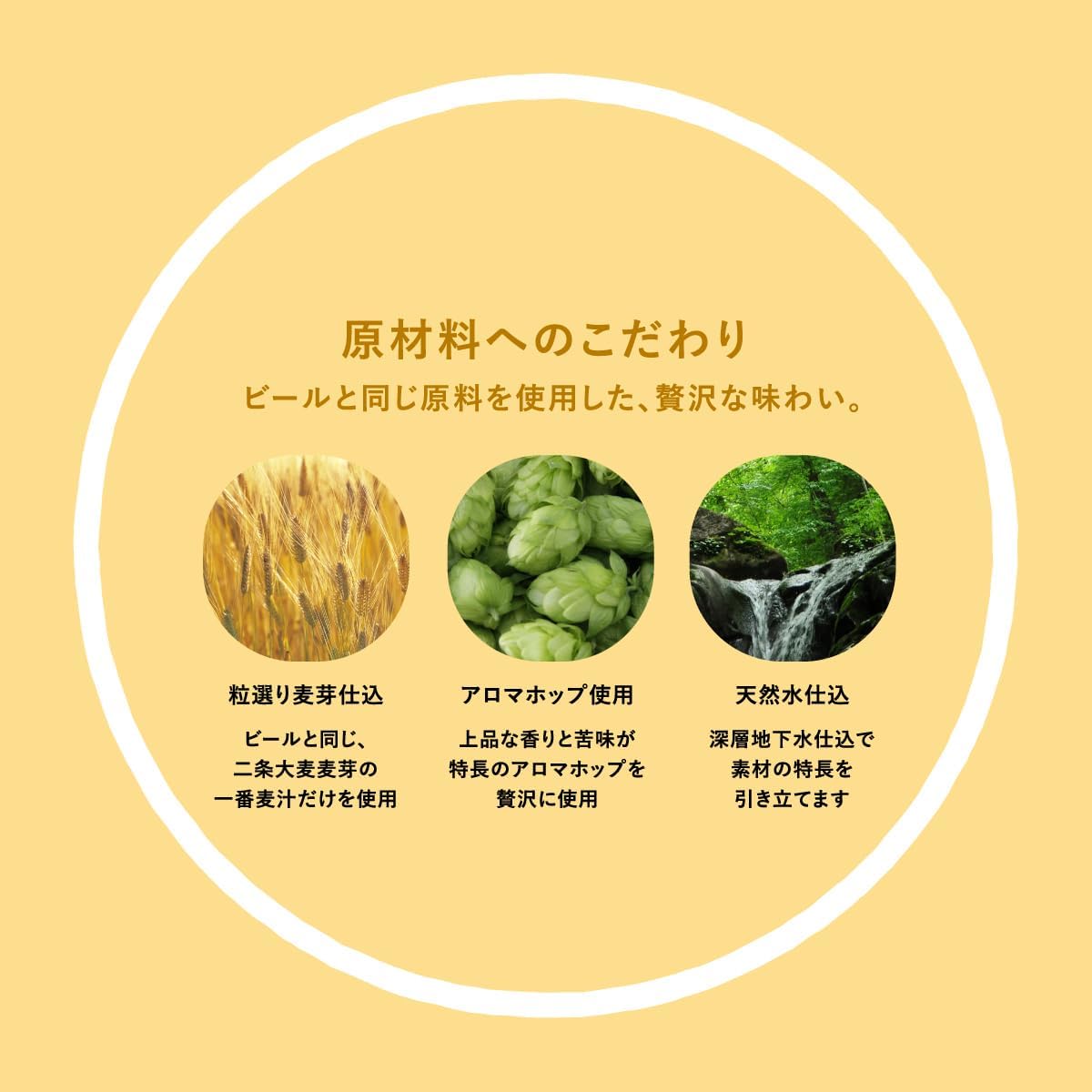 からだを想う オールフリー ノンアルコール ビール 350ml 24本