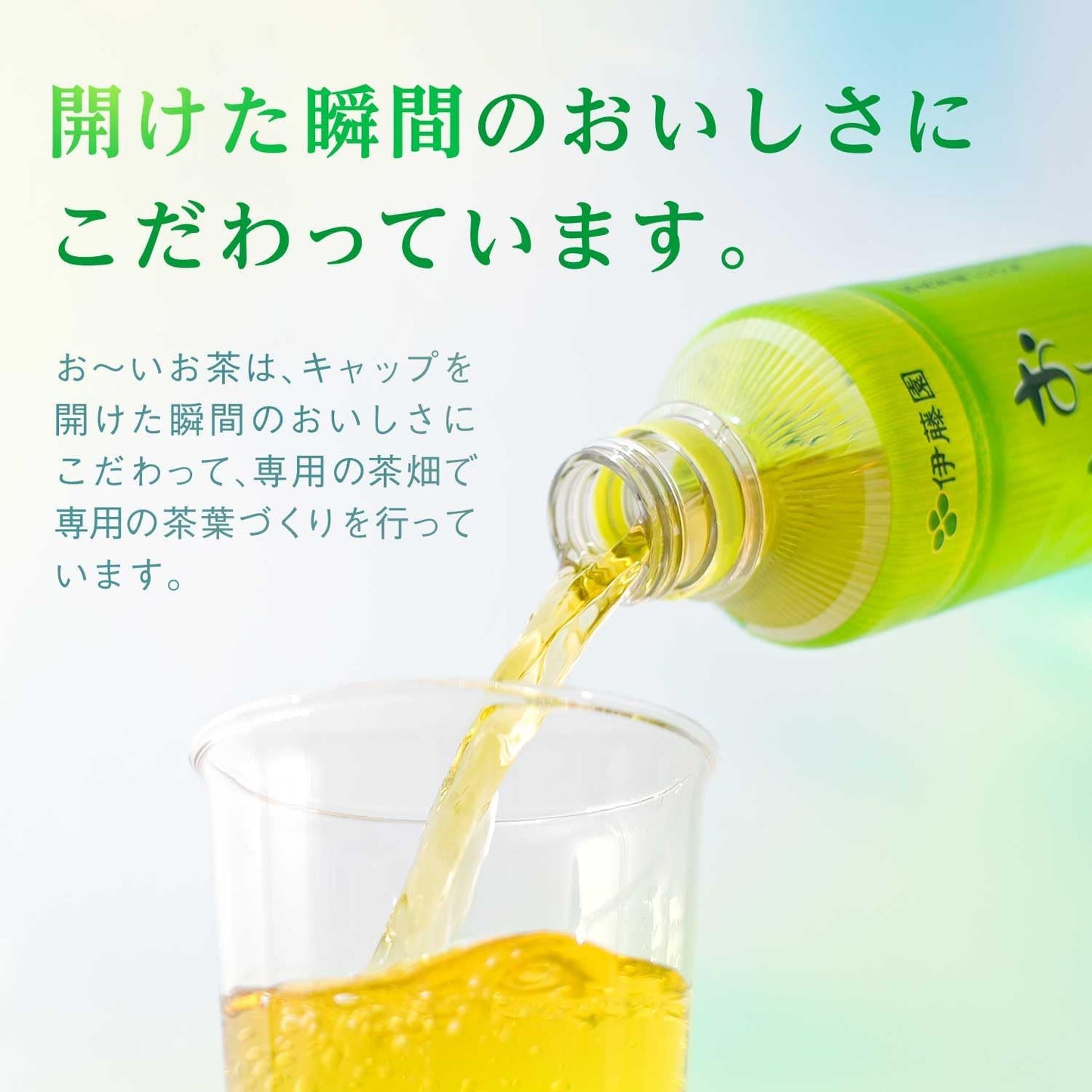 伊藤園 おーいお茶 緑茶 (小竹ボトル) 350ml ×24本