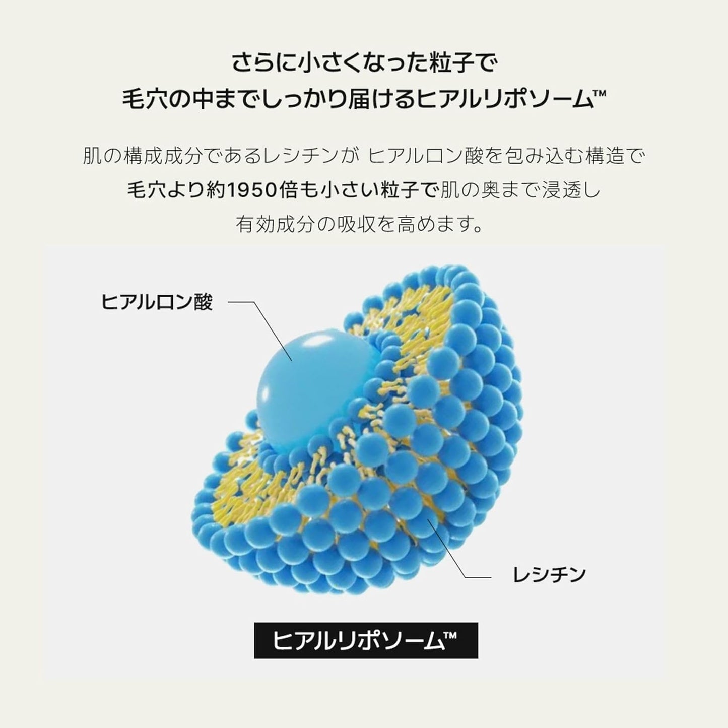 ANUA(アヌア) 8ヒアルロン酸リポソームスキンブースター150ml 化粧水 肌角質キメうるツヤケア 水分保湿 ヒアルロン酸 水分チャージ ブースティングエッセンス 拭き取り化粧水 トナー 乾燥肌 混合肌 hyaluronic acid liposome skin booster スキンケア