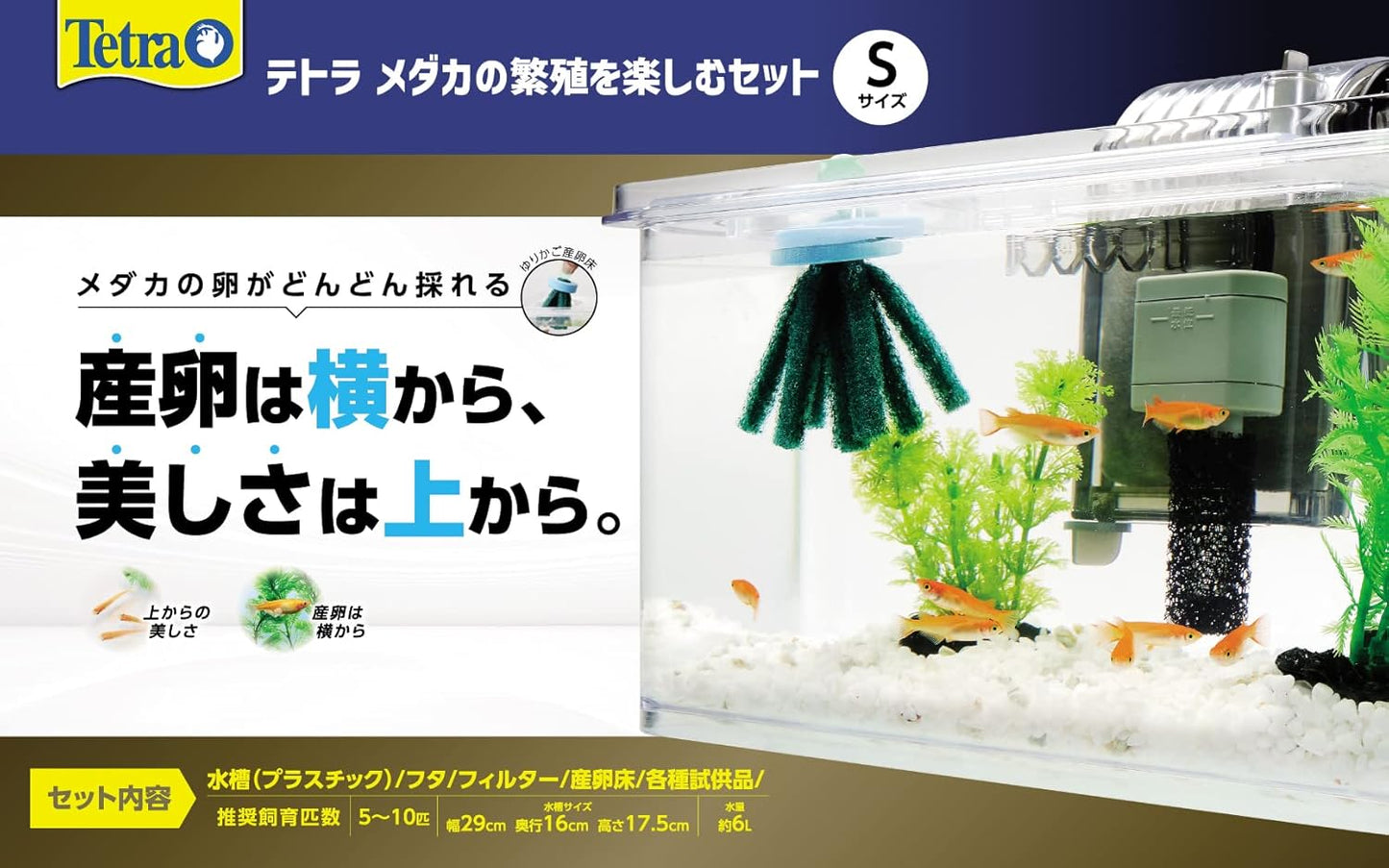 Tetra テトラ メダカの繁殖を楽しむセット S 水槽 アクアリウム 熱帯魚 メダカ 金魚