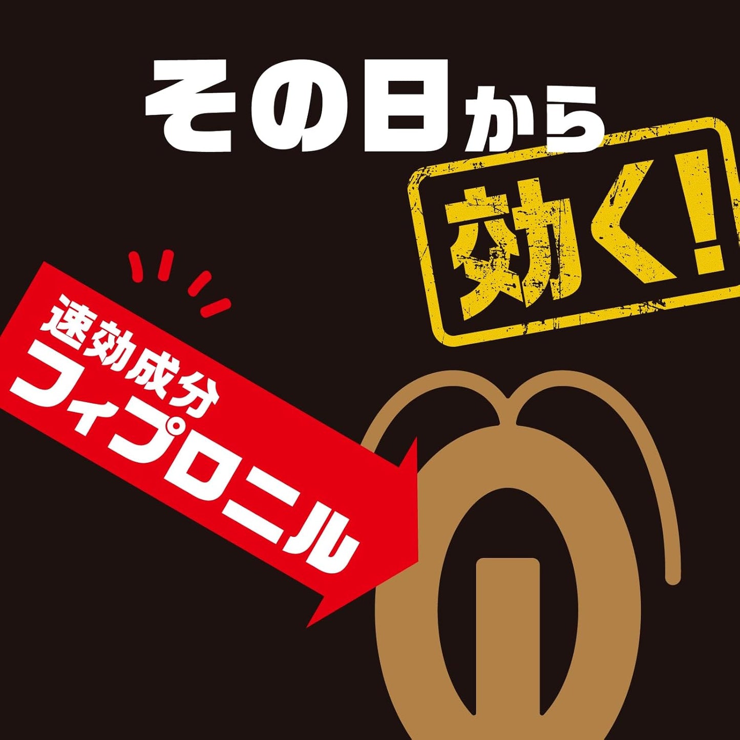 ブラックキャップ 36個入 ゴキブリ駆除剤 大容量 毒餌剤 ゴキブリ 侵入防止 ドア 防除用医薬部外品