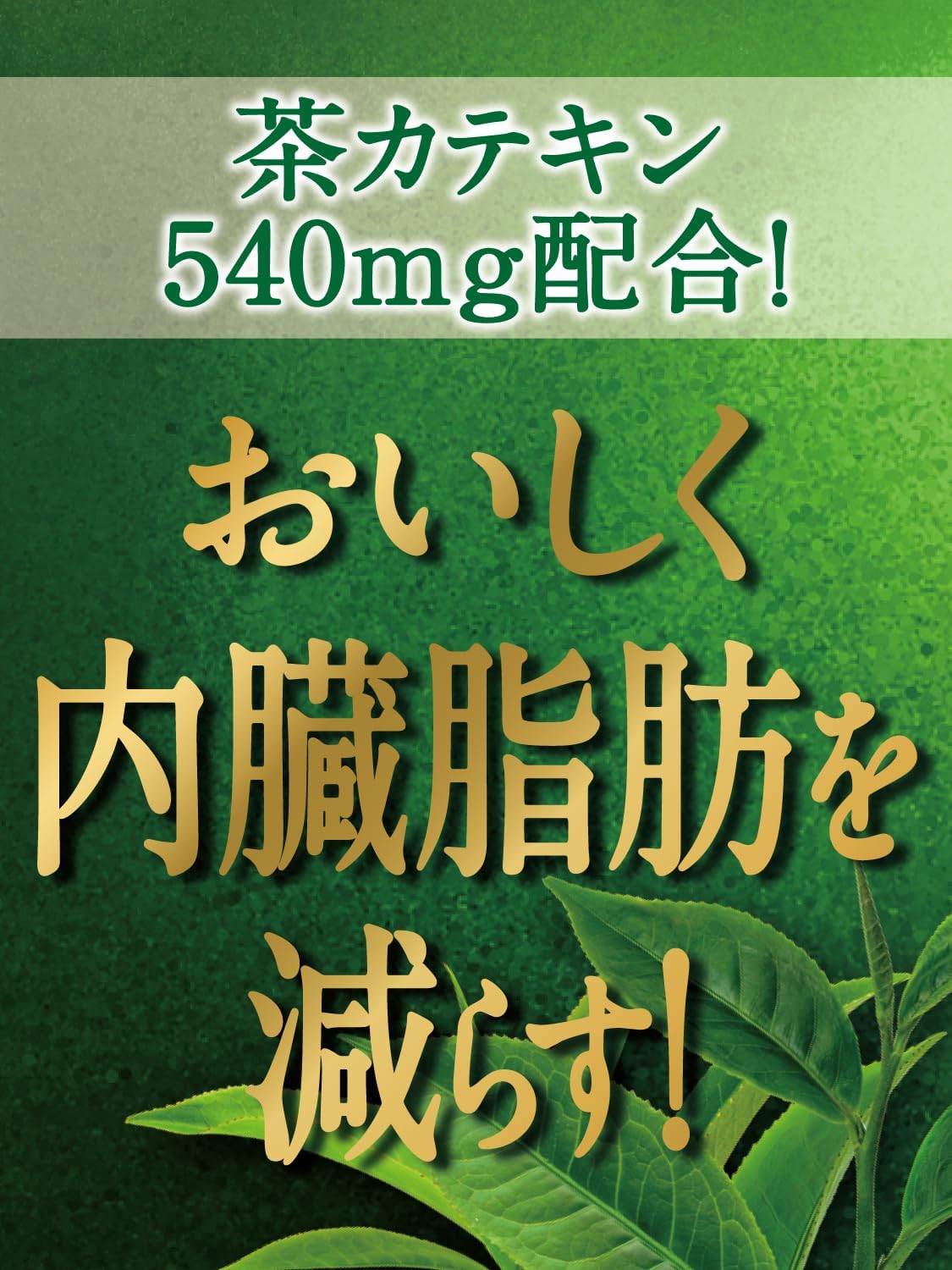 サントリー 機能性表示食品 伊右衛門 濃い味 600ml×24本
