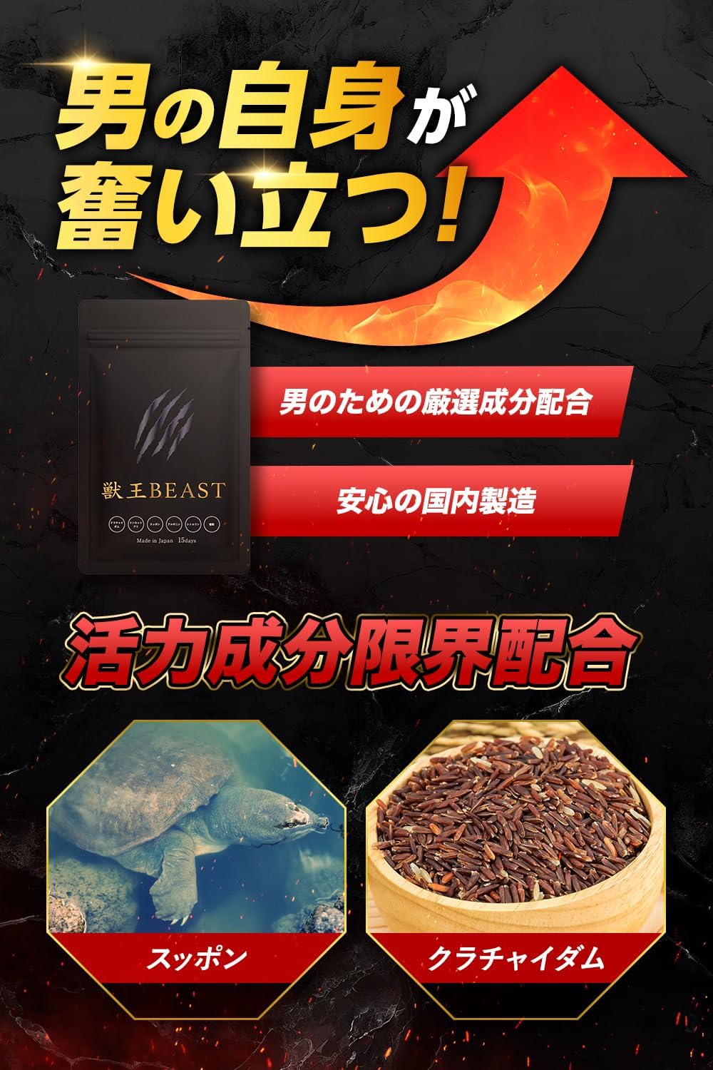 【NHK出演の専門家が推奨】獣王BEAST クラチャイダム トンカットアリ すっぽん アルギニン シトルリン 亜鉛 厳選成分15日分日本製 (1袋)