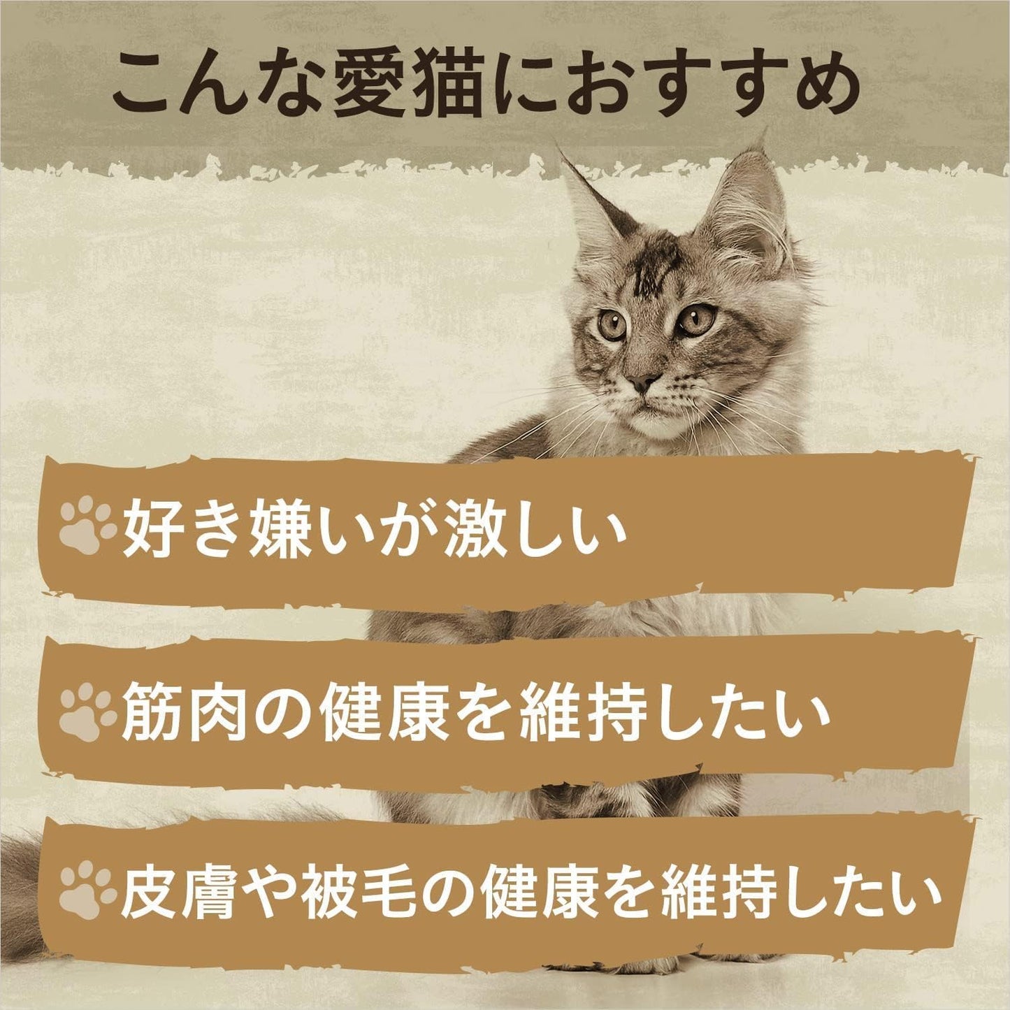 Nutro ワイルドレシピ ウェット グルメ仕立てのざく切り チキン&ビーフ 成猫用 35g×12袋