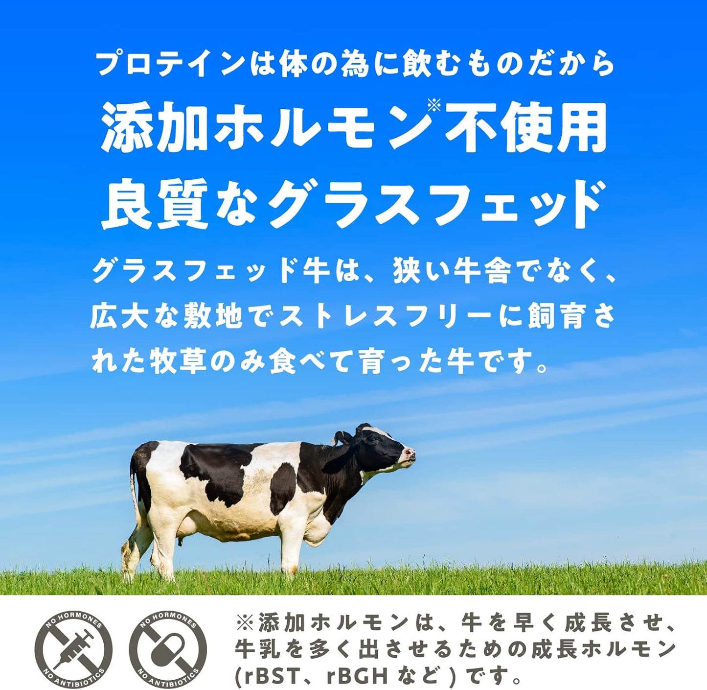 LOHAStyle(ロハスタイル) グラスフェッド ホエイプロテイン 無添加 プレーン 150g 人工甘味料不使用 お試し WPC