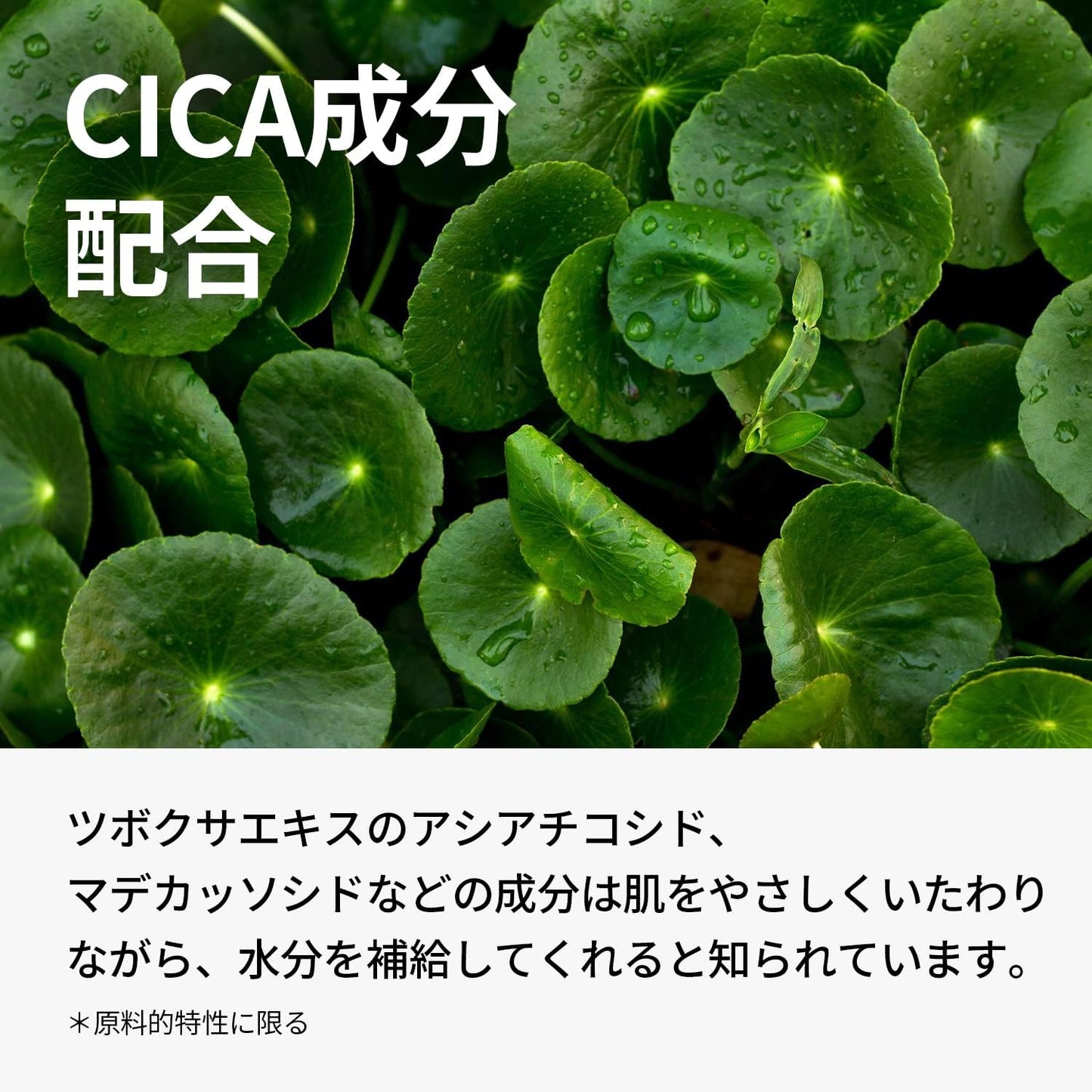 ワンシング (ONE THING)ツボクサエキス ツボクサ化粧水 150ml | さっぱり 混合肌 脂性肌 敏感肌 肌荒れ 赤み CICA シカ配合 ツボクサ 低刺激 高純度 高濃度 無添加 化粧水 乳液 スキンケア 韓国コスメ