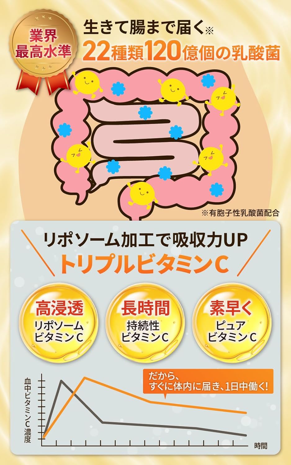 【現役医師と共同開発】セサミン30mg×リポソームVC100mg【医学誌掲載】セサミン&ユーグレナ+生きて腸まで届く乳酸菌 1袋 30日分