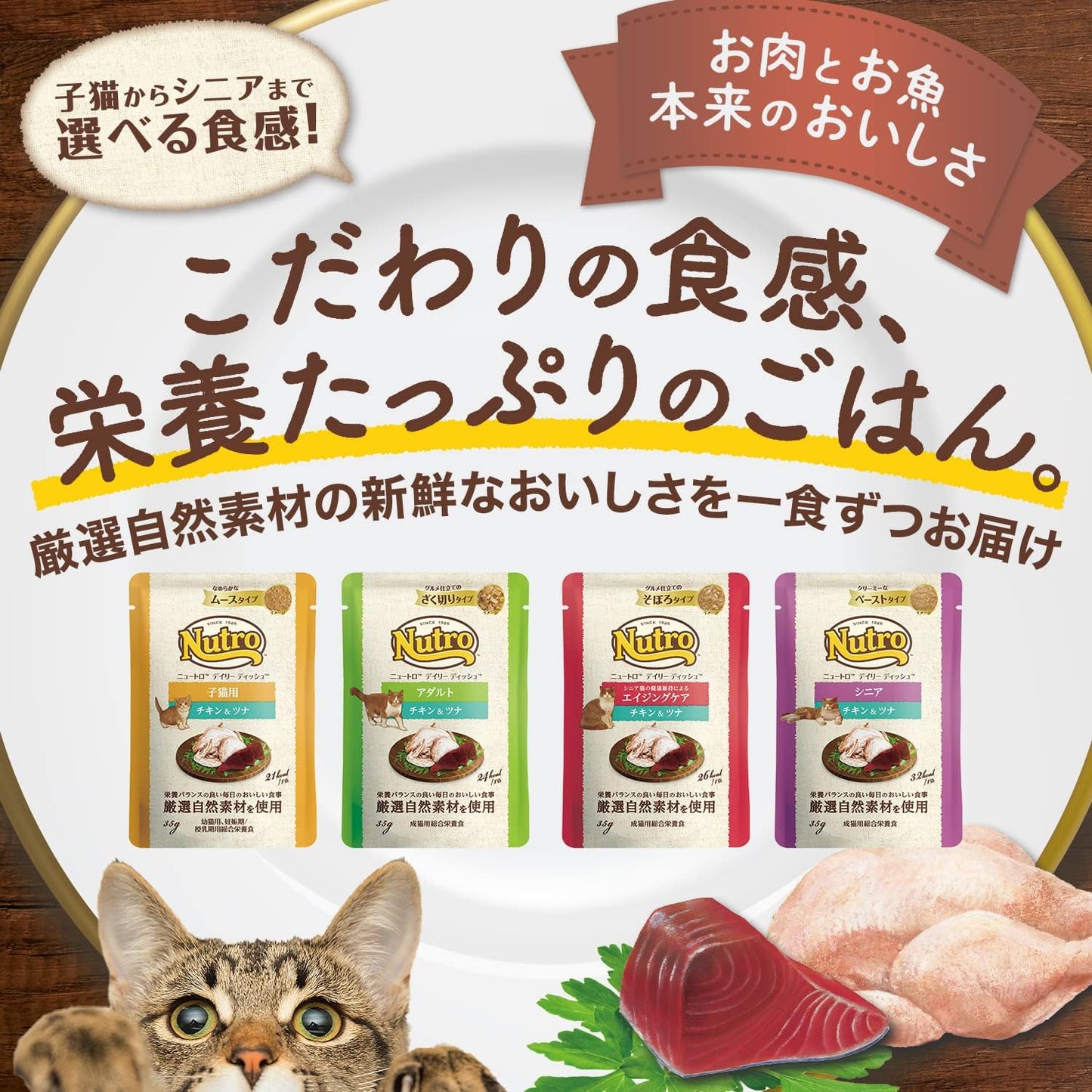 Nutro デイリーディッシュ ウェット なめらかムース チキン&ツナ 子ねこ用 35g×12袋