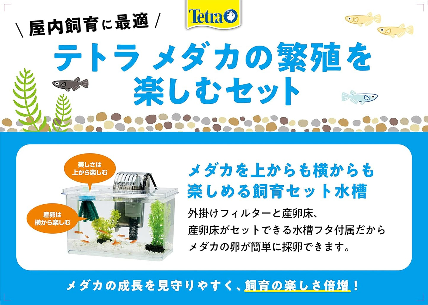 Tetra テトラ メダカの繁殖を楽しむセット S 水槽 アクアリウム 熱帯魚 メダカ 金魚