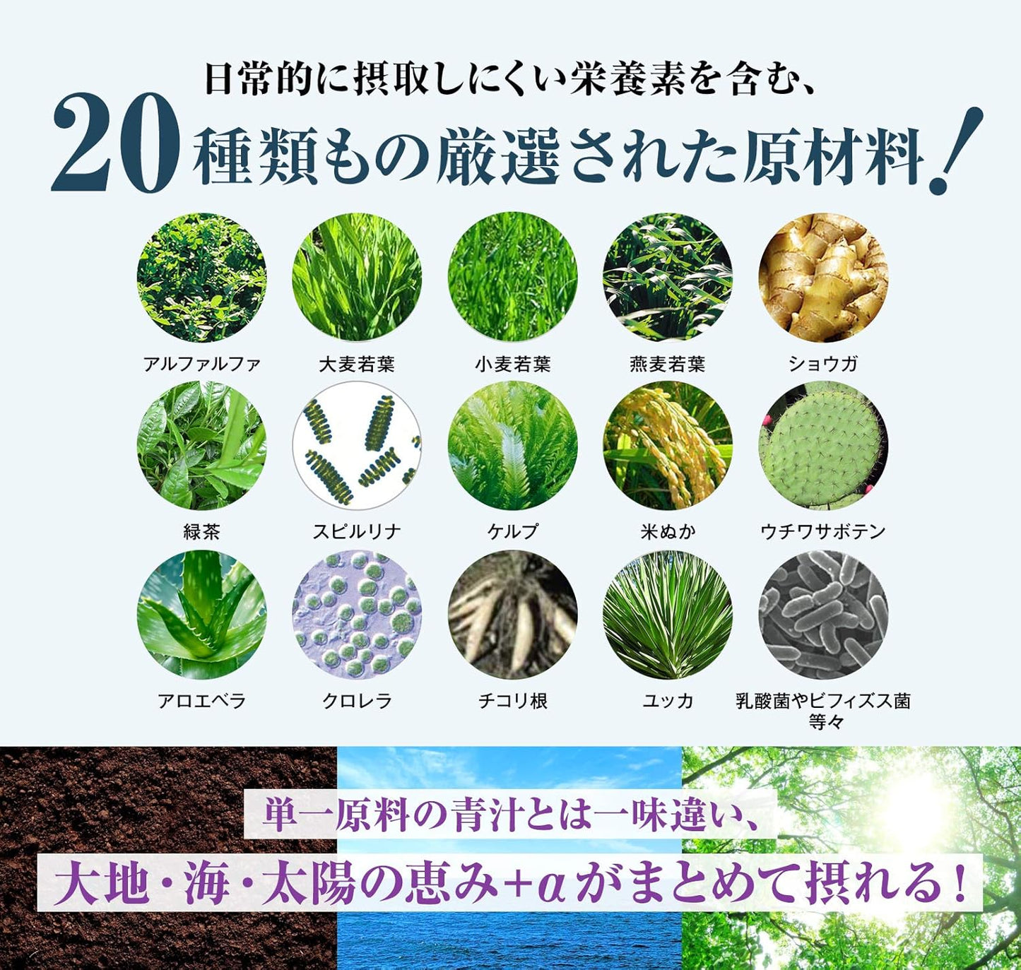 ベジパワープラス 2.25g×30包