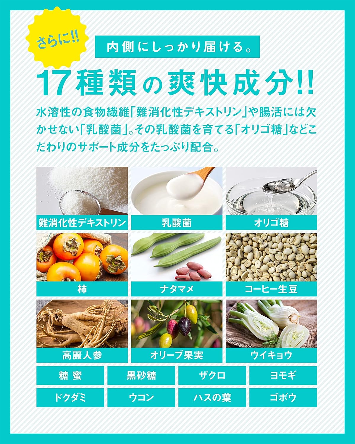 【医薬品発想】Dr.MUSHROOM 150倍濃縮シャンピニオン 業界最高水準(6,000mg/30日)サプリ 口臭ケア エチケット 栄養機能食品 30日分 国産 PRO GRADE FORMULA