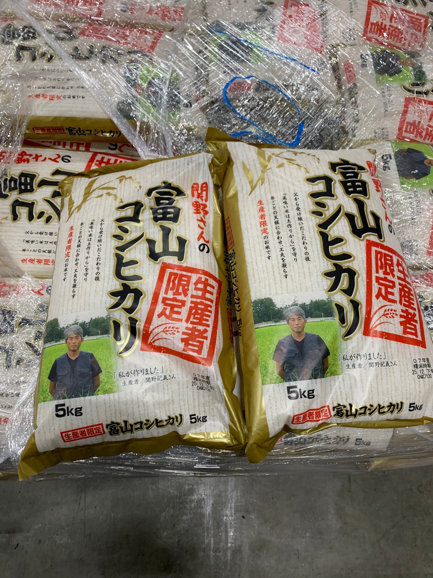 パールライス 生産者限定 富山県産 白米 関野さんのコシヒカリ 5kg 令和7年産 2袋セット
