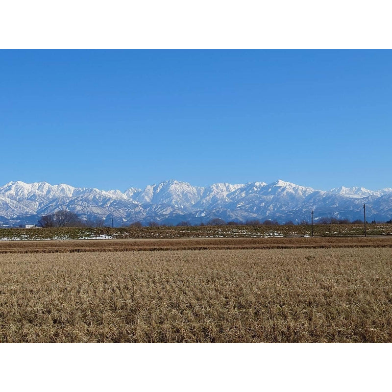 【精米日2026年2月中旬～2026年2月下旬】パールライス 生産者限定 富山県産 白米 関野さんのコシヒカリ 5kg 令和7年産　
