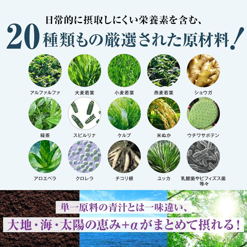 【賞味期限:2026年12月】ベジパワープラス 2.25g×30包