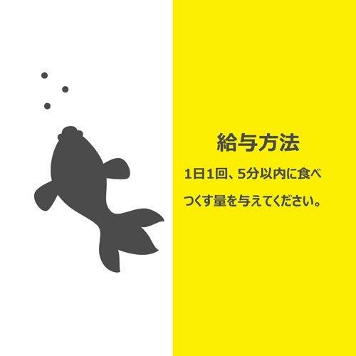 [Package Defective] Tetra Leptomin Super Large (280g) / Tetra
