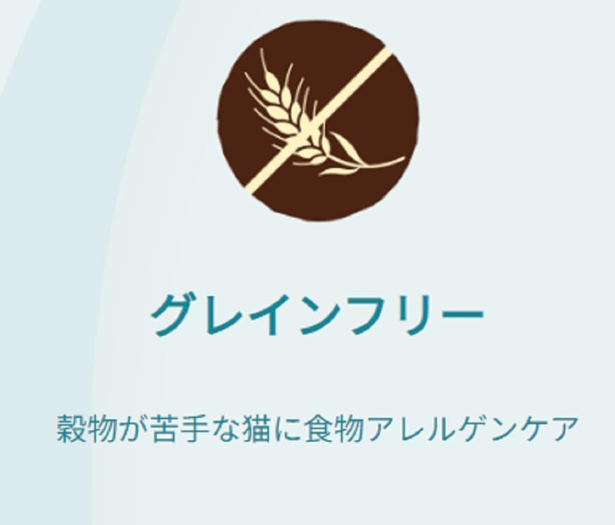 【賞味期限26.6.31】【サンプル付き】ピュリナワン キャットフード ドライ グレインフリー1歳以上 チキン 1.6ｋｇ+ピュリナ ワン キャット おやつ 健康免疫サポート 免疫ケア まぐろペースト 56ｇ【1.6kg X 6】【400g X 4袋分包】