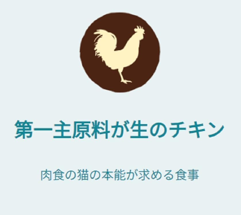 【賞味期限26.6.31】【サンプル付き】ピュリナワン キャットフード ドライ グレインフリー1歳以上 チキン 1.6ｋｇ+ピュリナ ワン キャット おやつ 健康免疫サポート 免疫ケア まぐろペースト 56ｇ【1.6kg X 6】【400g X 4袋分包】