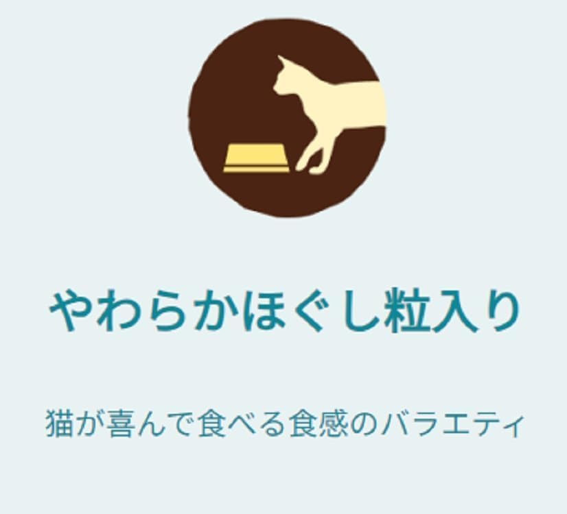 【賞味期限26.6.31】【サンプル付き】ピュリナワン キャットフード ドライ グレインフリー1歳以上 チキン 1.6ｋｇ+ピュリナ ワン キャット おやつ 健康免疫サポート 免疫ケア まぐろペースト 56ｇ【1.6kg X 6】【400g X 4袋分包】
