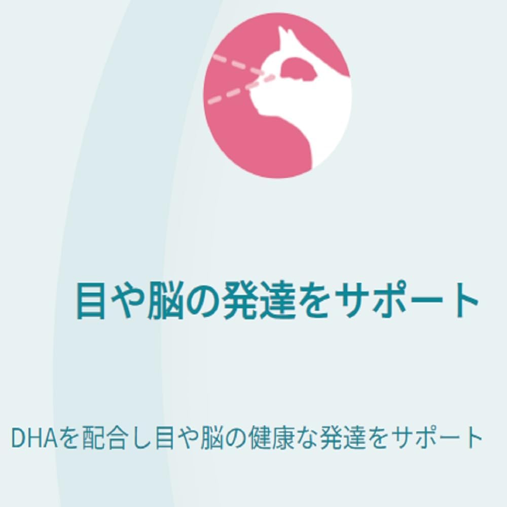 ピュリナ ワン キャット パウチ １歳までの子ねこ用／妊娠・授乳期の母猫用チキングレービー仕立て ５０ｇｘ１２袋