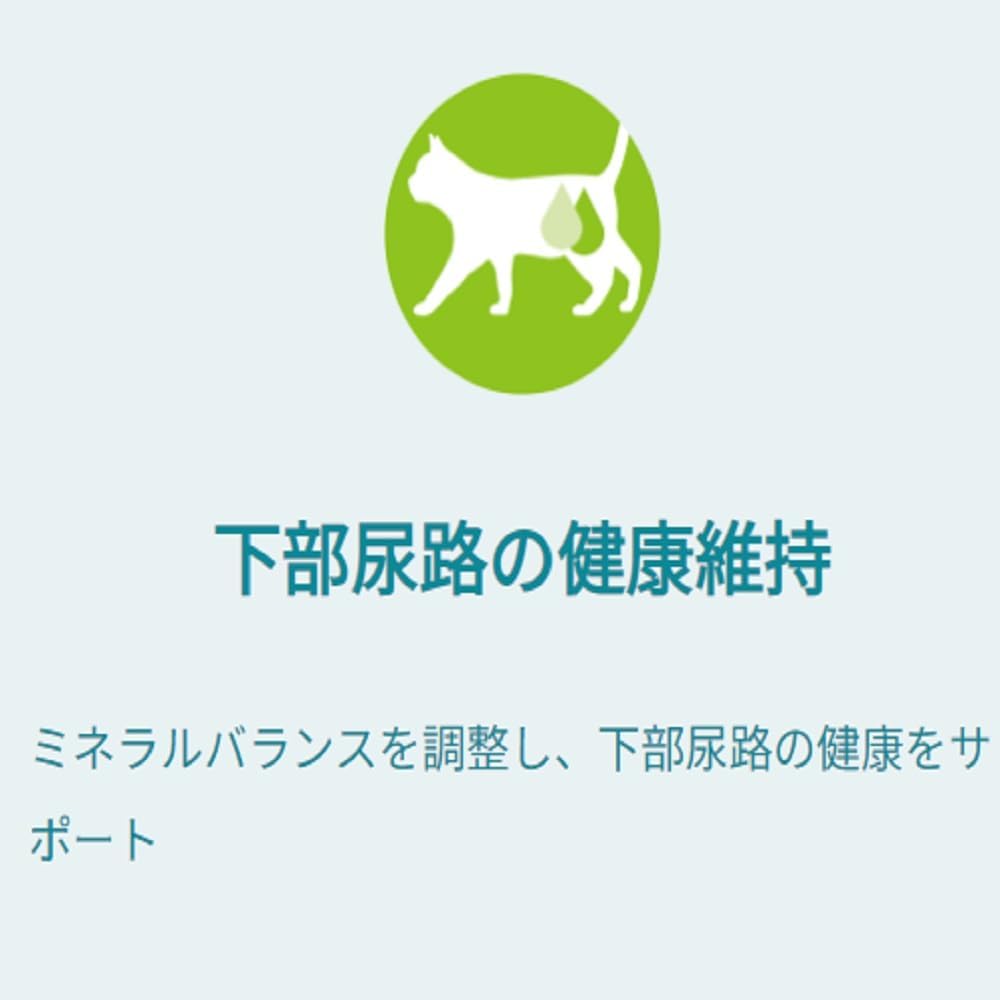 ピュリナワン キャットフード パウチ 健康寿命ケア 7歳以上 チキングレービー仕立て 50ｇ ｘ12袋ｘ4箱(ケース買い)