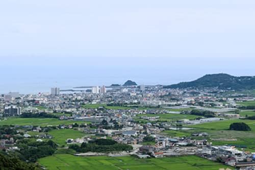 【精米时期2026.5～7】【精米】 千葉県産 無洗米 ふさこがね 5kg