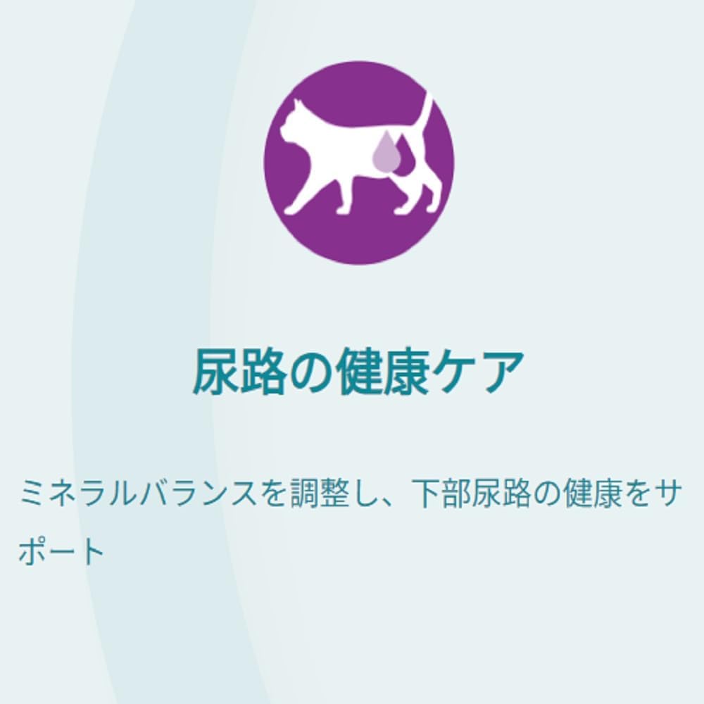 【パッケージ破損あり】ピュリナワン キャットフード パウチ 室内飼い猫用 1歳以上 チキングレービー仕立て 50ｇｘ12袋