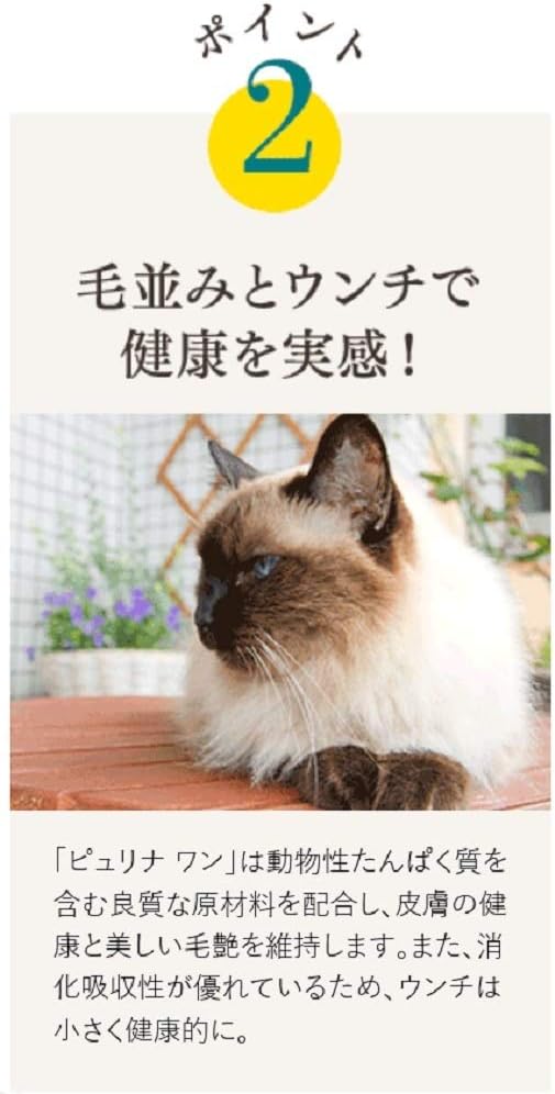 ピュリナワン キャットフード ドライ 避妊・去勢した猫の体重ケア 子ねこから全ての年齢に ターキー 4.4kg(440g×10袋入)【賞味期限2026.5】
