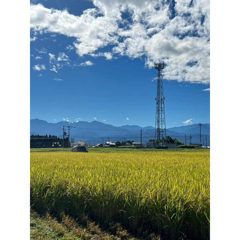 【精米日2026年2月中旬～2026年2月下旬】パールライス 生産者限定 富山県産 白米 関野さんのコシヒカリ 5kg 令和7年産　