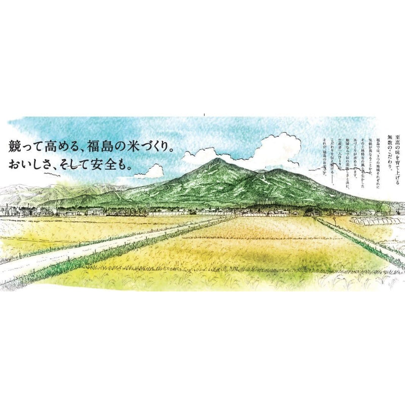 精米时期2026.04 パールライス 福島県産 無洗米 天のつぶ 5kg 令和7年産