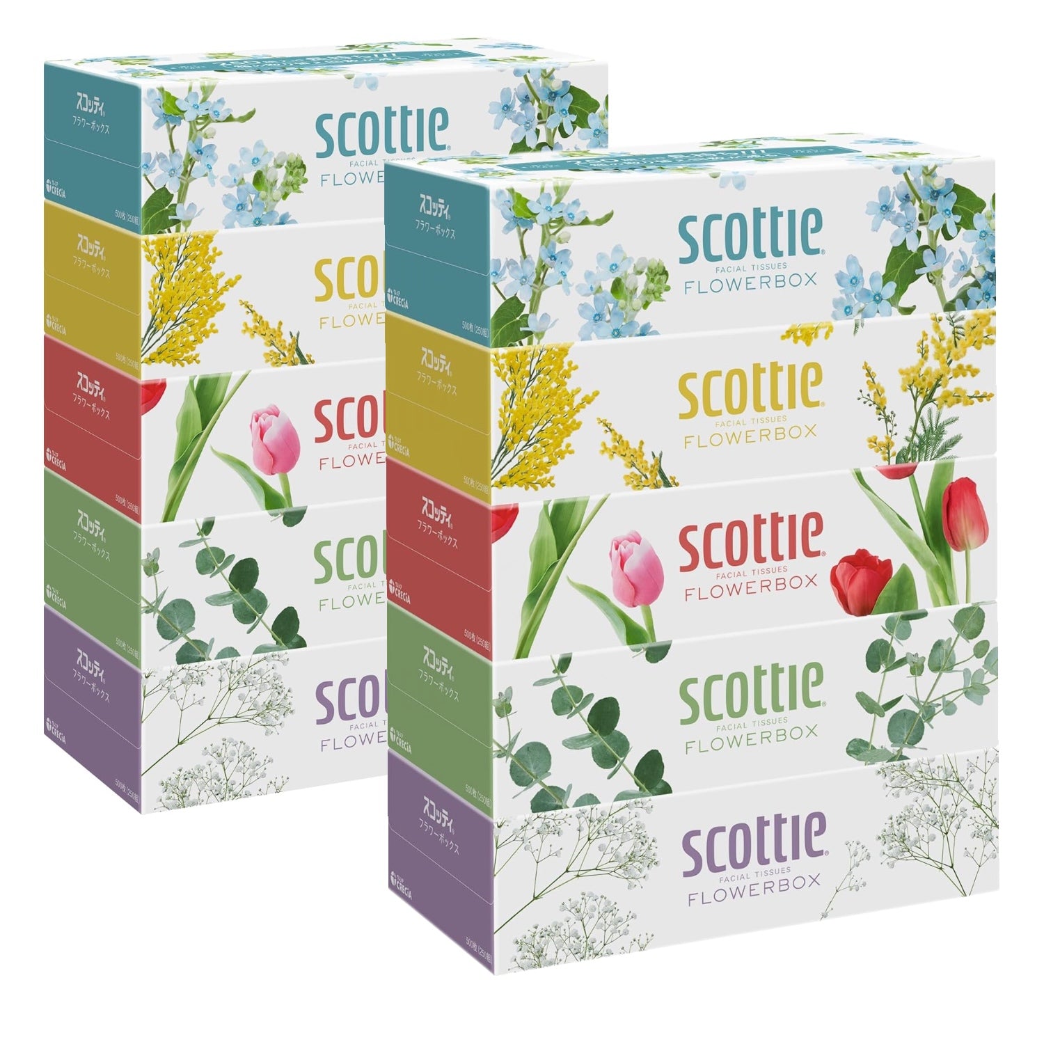 ティッシュ 長持ち 500枚(250組) 5箱 スコッティ フラワーボックス X2