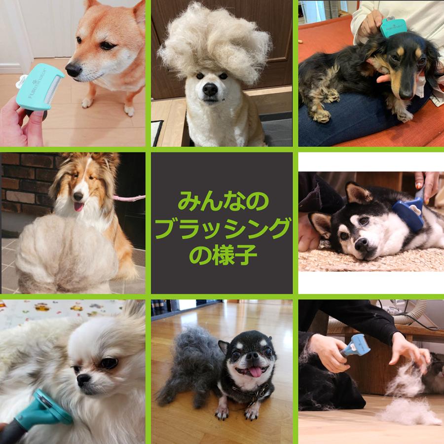 ファーミネーター　小型犬　Ｓ　短毛種用　＆　キレイウォーター　限定セット