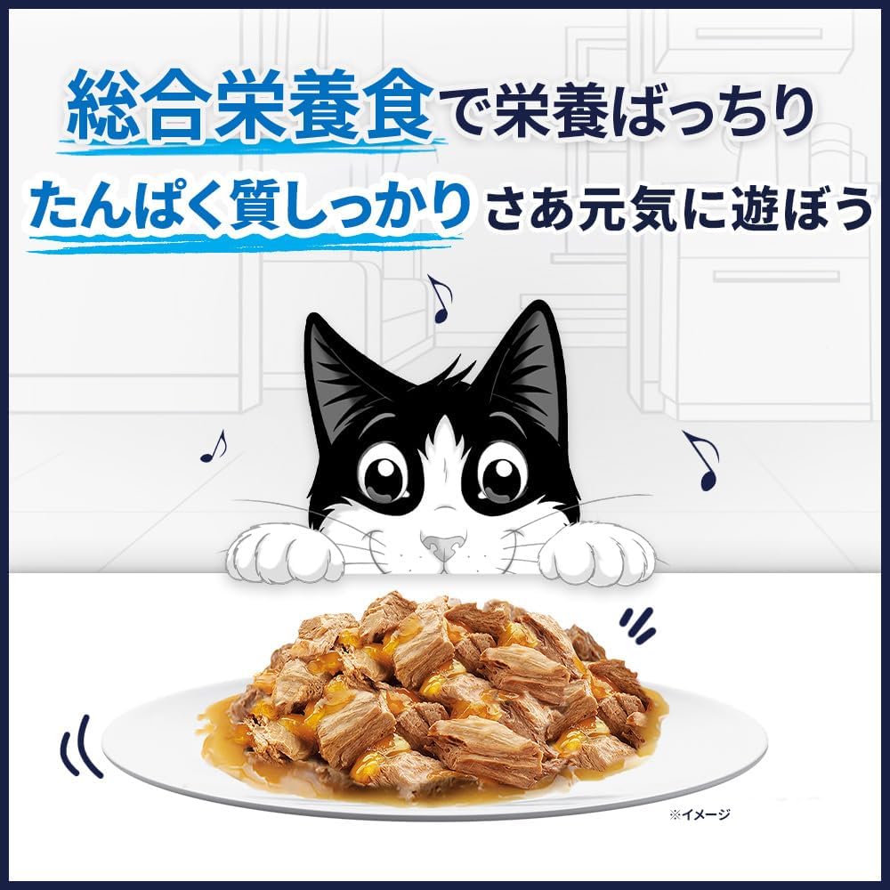 【訳あり】【賞味期限：2027.01.31】フィリックス パウチ キャットフード やわらかグリル お魚バラエティ(ツナ・サーモン・あじ) 50gx48袋入り(12袋x4箱)【Amazon.co.jp限定】キャットフード ウェット 猫 ウェットフード