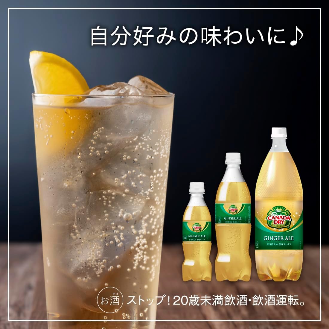【賞味期限26.5.19】カナダドライ(CANADA DRY) ジンジャエール 500ml PET