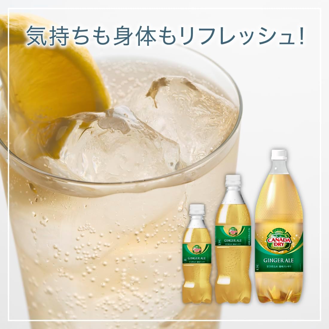 【賞味期限26.5.19】カナダドライ(CANADA DRY) ジンジャエール 500ml PET
