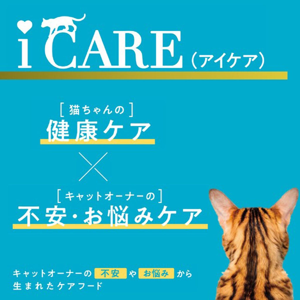 【訳あり】【賞味期限：2027.12.1】i CARE アイケア 水分補給 かつおペースト 35g 12個入り