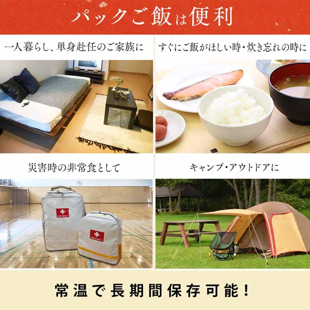 アイリスオーヤマ(IRIS OHYAMA) パックご飯 180g 国産米 100% 低温製法米 非常食 米 レトルト 180g×10個