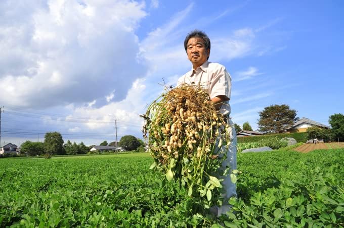 【賞味期限2026.6.2】豆処生形 千葉県八街産落花生 最高級品種 千葉半立煎りざや落花生千葉半立200g 契約農家のみ使用 自社工場製造 熟練職人の焙煎