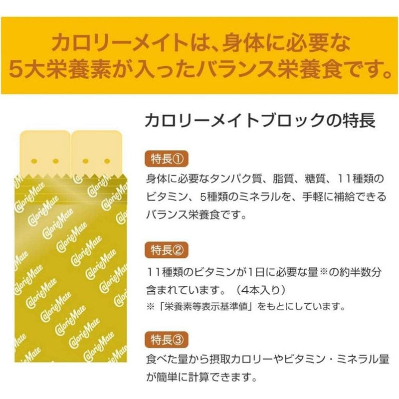 賞味期限 2027.1 カロリーメイト 大塚製薬 カロリーメイト ブロック チョコレート 4本×10個