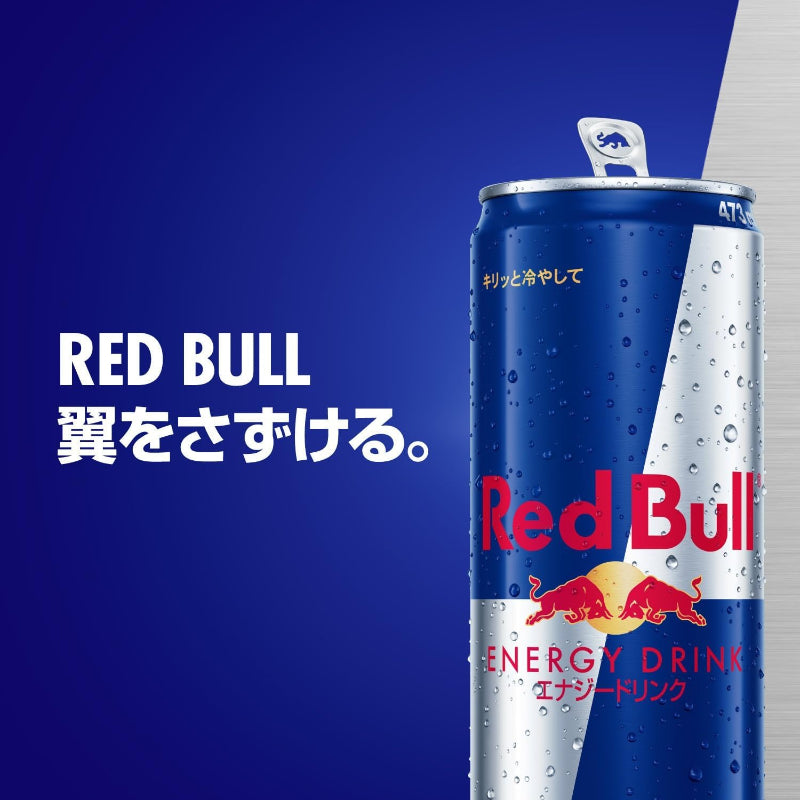 賞味期限 2026.6.30 レッドブル エナジードリンク 473ml×12本