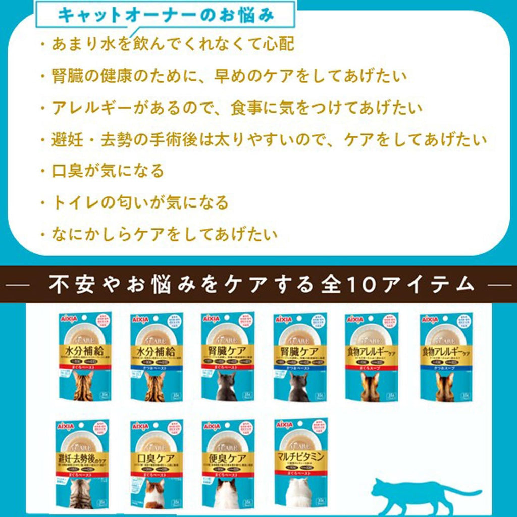 【訳あり】【賞味期限：2027.12.1】i CARE アイケア 水分補給 かつおペースト 35g 12個入り