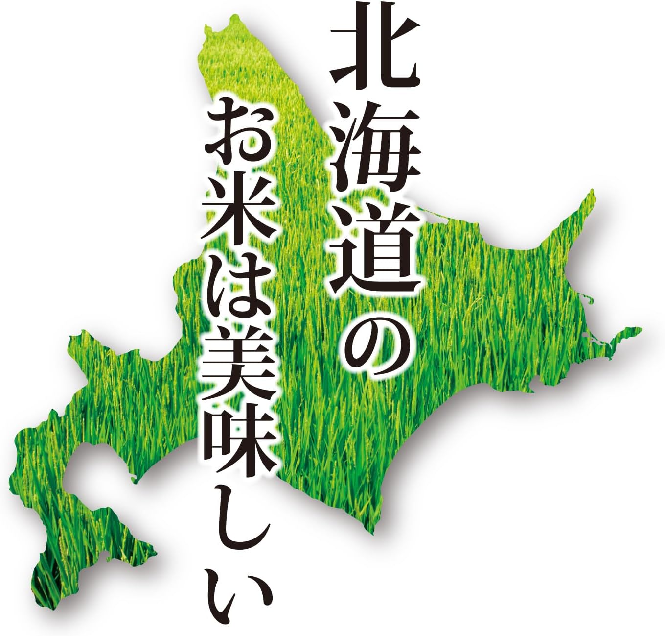 【精米時期2025.12下旬～2026.1下旬】ミツハシ 【精米】 無洗米 北海道産 ななつぼし 5kg 令和7年産 精米時期2025.12下旬～2026.1下旬