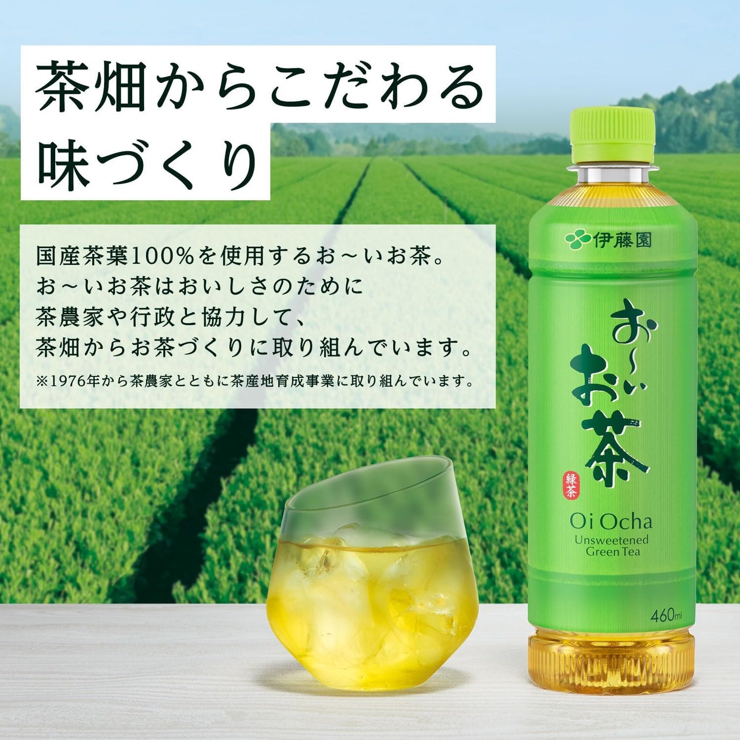 伊藤園 おーいお茶 緑茶 (小竹ボトル) 350ml ×24本