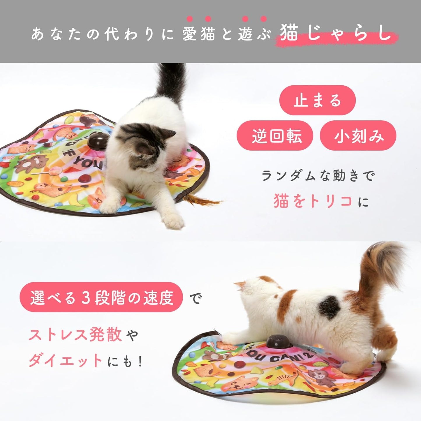 猫壱（necoichi） キャッチ・ミー・イフ・ユー・キャン2 猫用電動おもちゃ