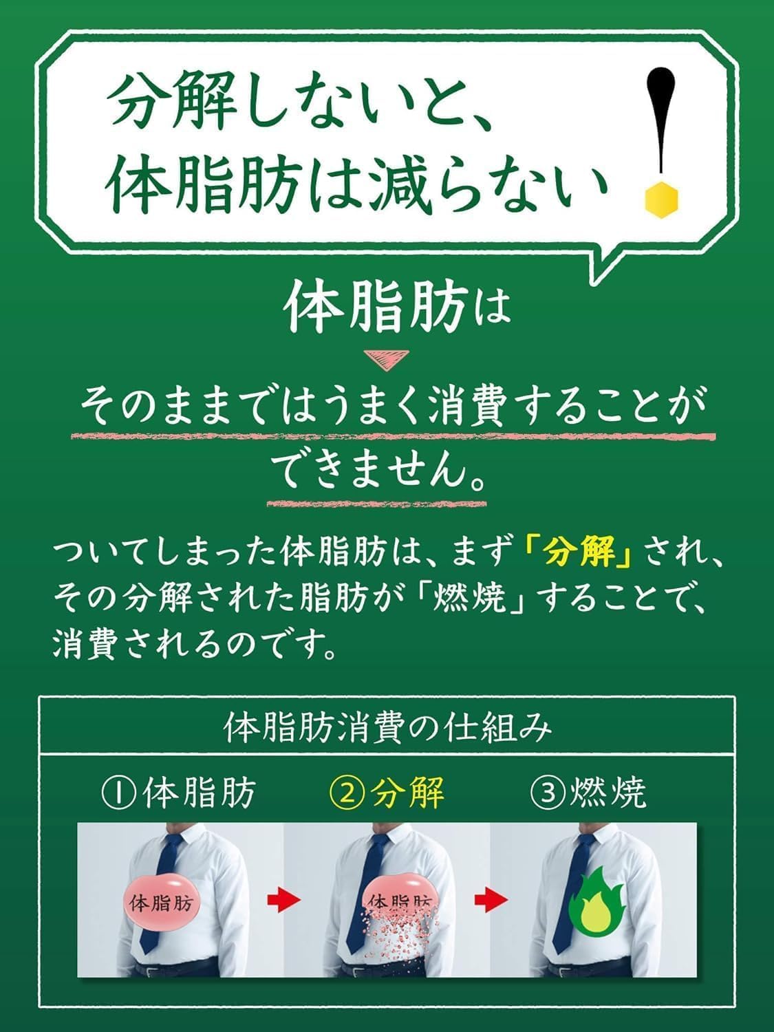 [トクホ]サントリー 伊右衛門 特茶 お茶 500ml×24本