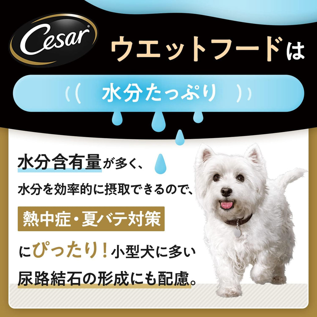 【訳あり】【賞味期限：2027.12.17】シーザー パウチ 成犬用 70gx16袋 ジューシー厳選ビーフ チーズ・彩り野菜入り 厳選素材 水分補給 とろみタイプ ウェットフード ドッグフード 犬 Cesar